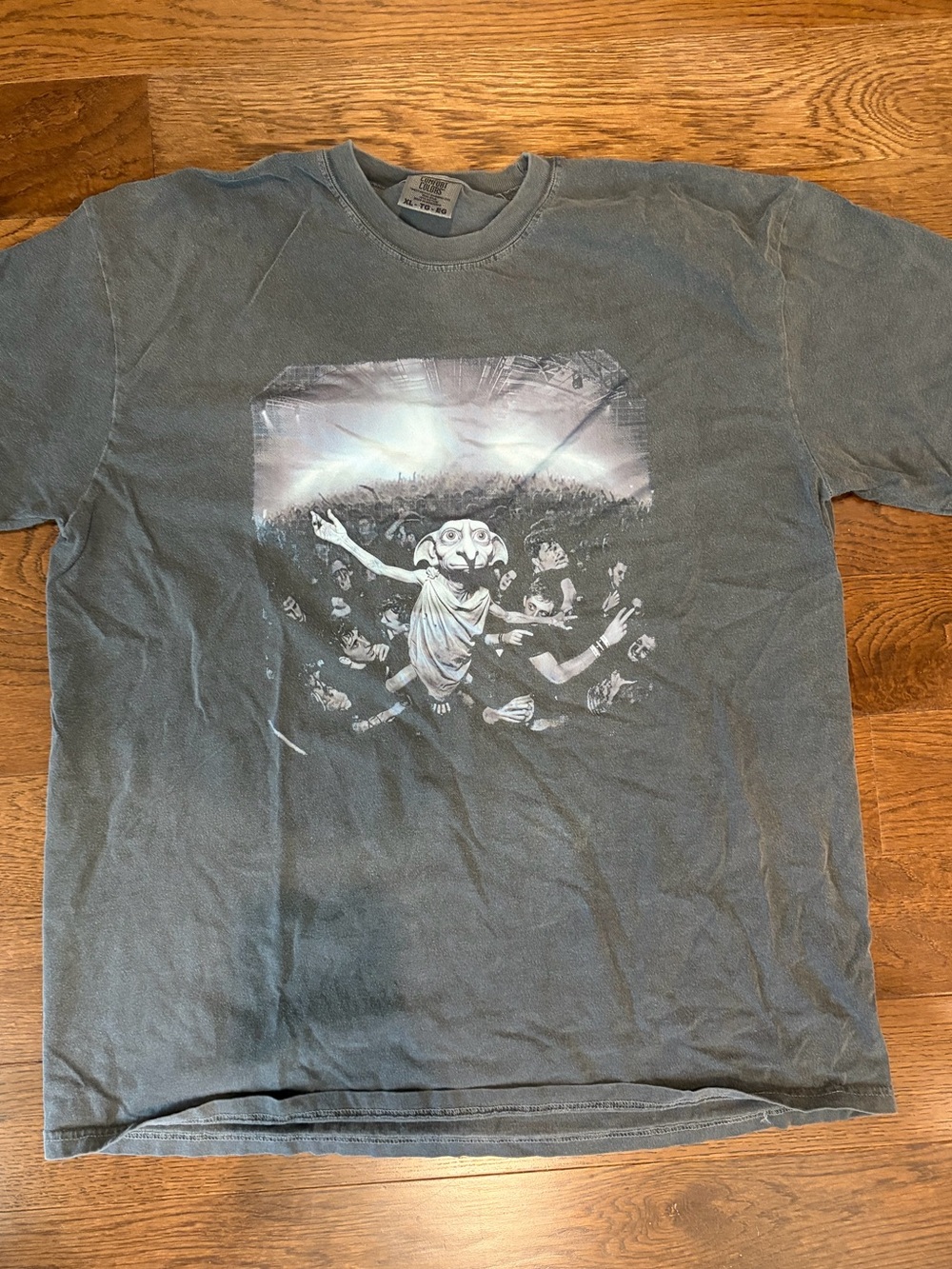 Comfort Colors Dobby Concert Harry Potter Graphic Tee in Charcoal